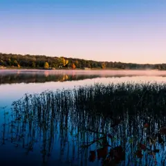 Poranek nad jeziorem, mgła unosi się nad wodą, drzewa w jesiennych barwach tworzą malowniczy krajobraz, niczym szwajcarskie Kaszuby.