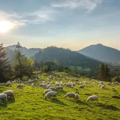 Pieniny: Gdzie nocleg? Jak wybrać najlepsze miejsce dla siebie?