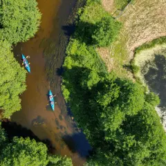 Dwie kajaki płynące malowniczą rzeką na Kociewiu, otoczone bujną zielenią drzew.