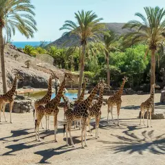 Fuerteventura: Najpiękniejsze Miejsca. Czy znasz te perełki?