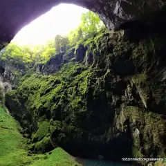 Wnętrze jaskini Macochy, porośnięte mchem zbocza skalne, z widokiem na las i niebo.