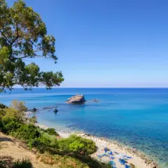 Piękna plaża w Pafos, Grecja, z turkusową wodą, skalistą wysepką i drzewem oliwnym.