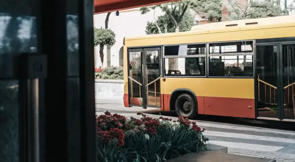 Żółto-czerwony autobus miejski, symbol madera transport publiczny, stoi na przystanku wśród kwitnących czerwonych kwiatów.