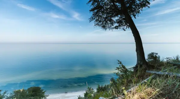Widok na spokojne morze z klifu, gdzie leżą Międzyzdroje. Drzewo na pierwszym planie, plaża w oddali.