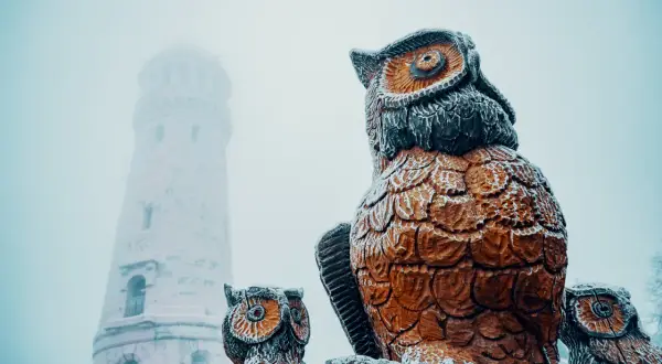 Wielka sowa i jej mniejsze towarzyszki strzegą szlaki w zimowej scenerii. W oddali majaczy wieża.