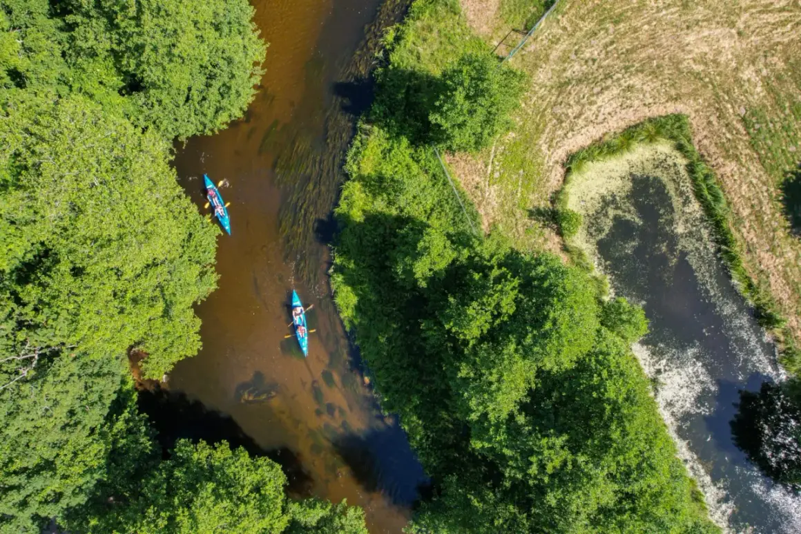 Dwie kajaki płynące malowniczą rzeką na Kociewiu, otoczone bujną zielenią drzew.