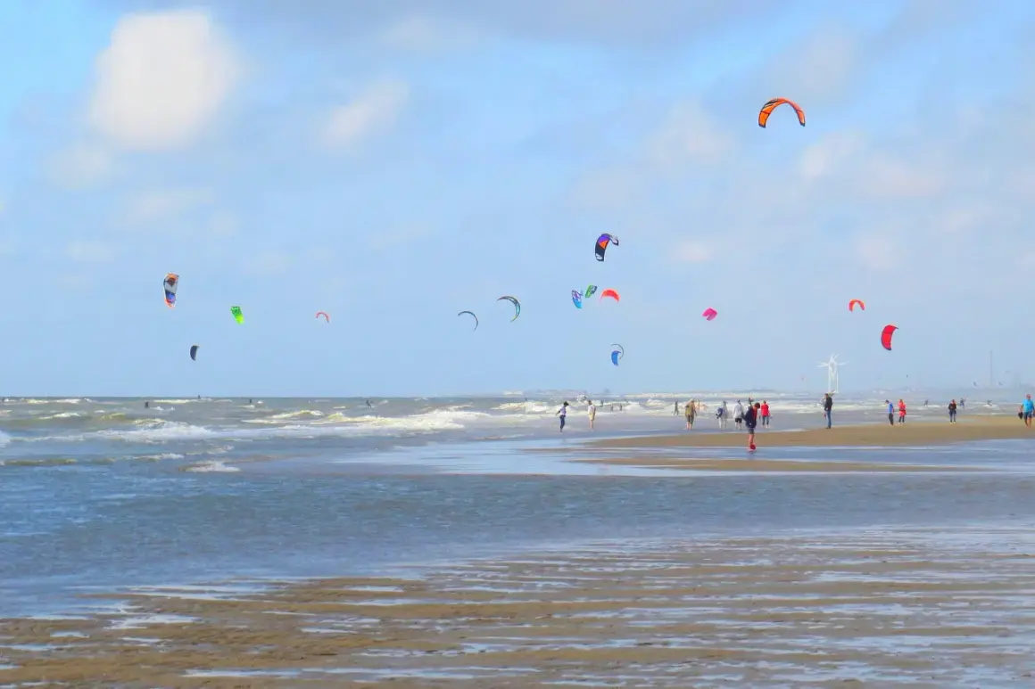Wietrzny dzień na plaży w Holandii. Kolorowe latawce do kitesurfingu unoszą się nad falującym morzem, a ludzie spacerują po mokrym piasku.