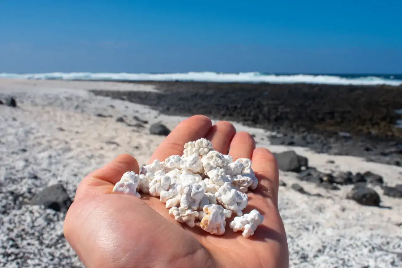 Popcorn Beach Fuerteventura