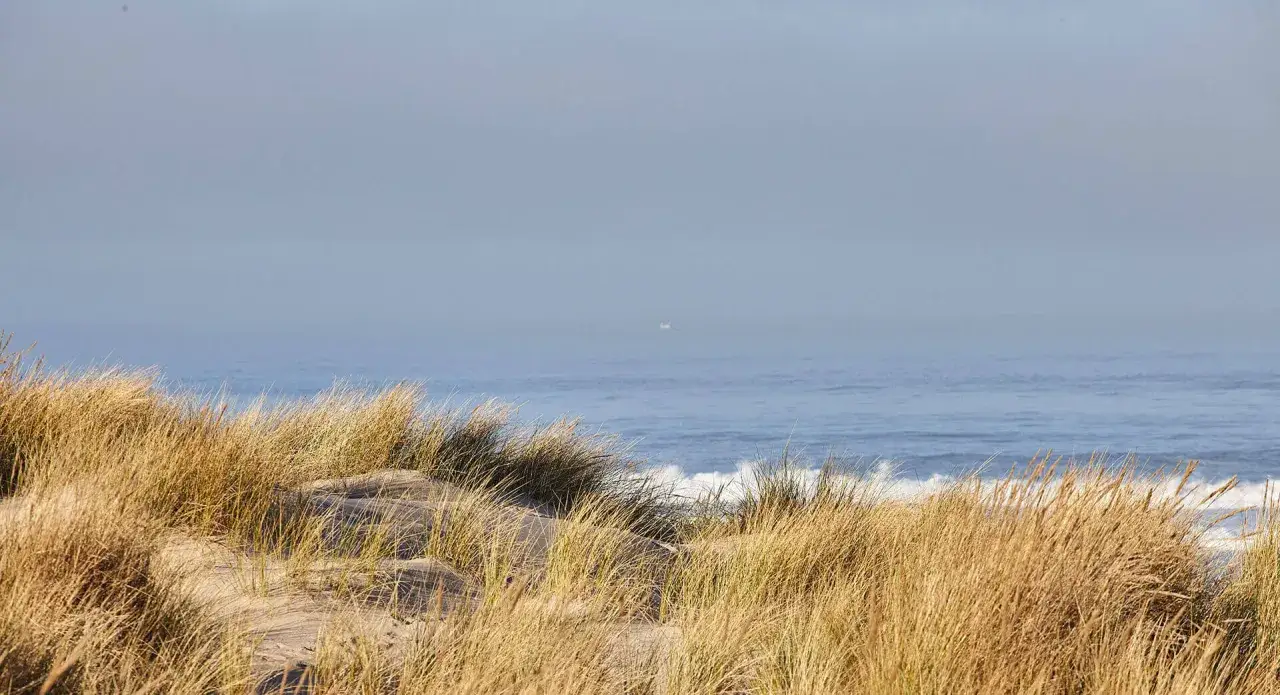 Piękne, puste plaże Helu poza sezonem. Szum fal i złote trawy na wydmach tworzą spokojny krajobraz.